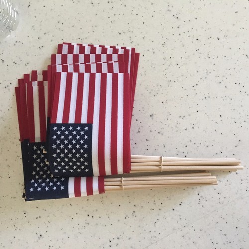 Cotton stick flag x6 - 20, 4"x6"