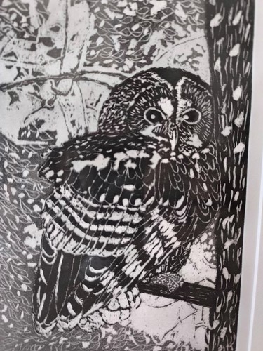 Gravure originale chouette - gravure,