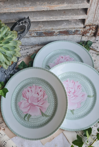 Anciennes assiettes - 3,