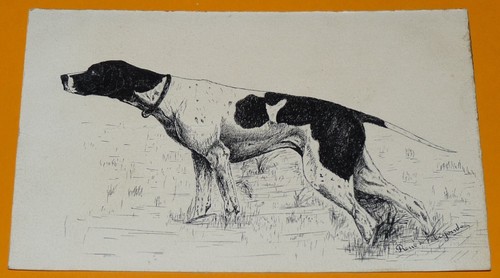 Cpa carte postale 1905 - carte,