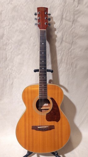 guitare ibanez electrique pf200