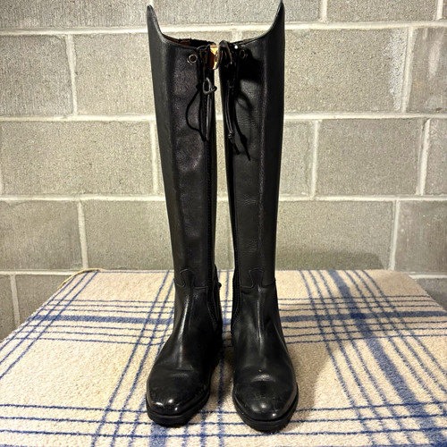 Mountain horse tall - mountain, leather