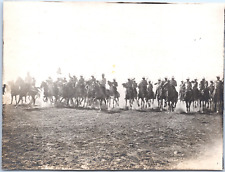 Maroc, Marrakech, Cavalerie au circuit automobile, Vintage silver print, juin 19