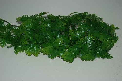 Terrarium petit jungle - terrarium,