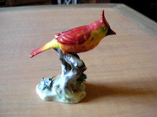 BEL OISEAU CARDINAL FINE