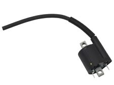 BOBINE D'ALLUMAGE PSYCHIQUE