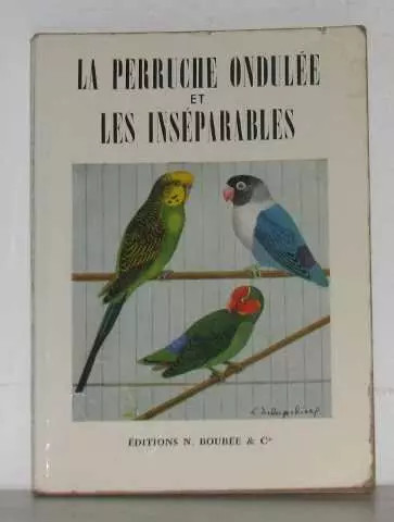 Perruche ondulée les - perruche,