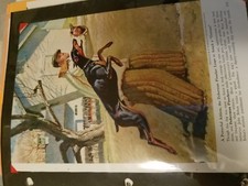 SINGLE Edwin Megargee Doberman