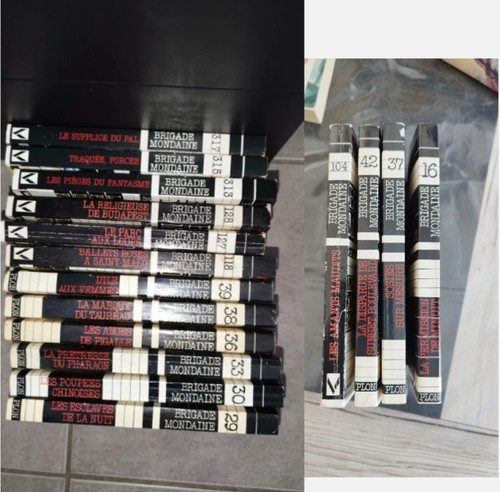 Lot livres romans brigade
