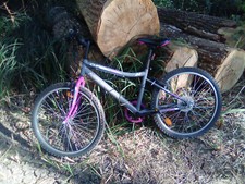 velo nakamura 24 pouces fille clif