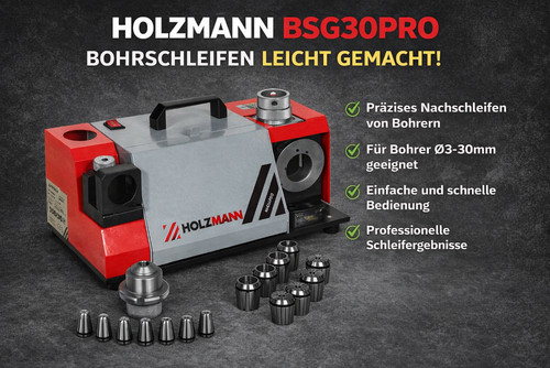 Holzmann bsg30pro affûteuse - holzmann,