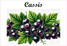 Cassis 12 Etiquettes vinyle