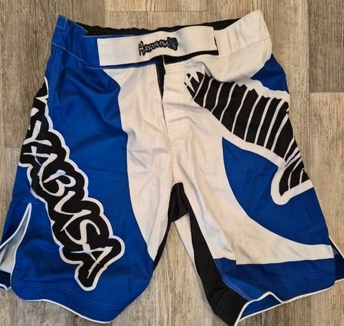 Hayabusa mma fight - hayabusa,