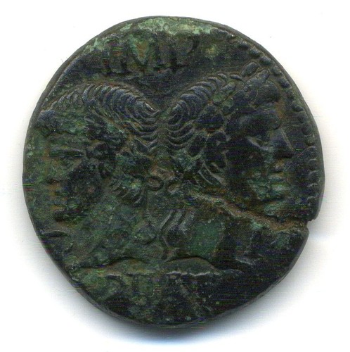 Nemausus nîmes - (3051),