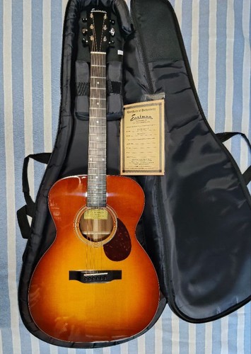 Guitare acoustique électrique