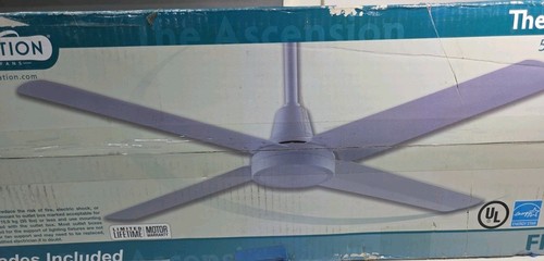 Fanimation Matte White Ceiling