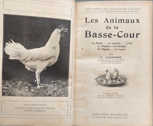 Les animaux basse - les, la