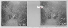 Promenade, forêt, Plaque verre photo stéréo, positif noir & blanc 4,5x10,7 cm