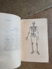 Atlas D Anatomie 19 Eme
