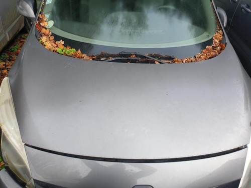 Moteur renault grand scenic - moteur,