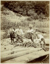 ALLEMAGNE SCHWARTZWALD 