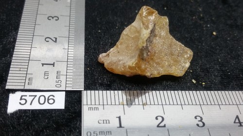 Amber stone - amber, (dominican