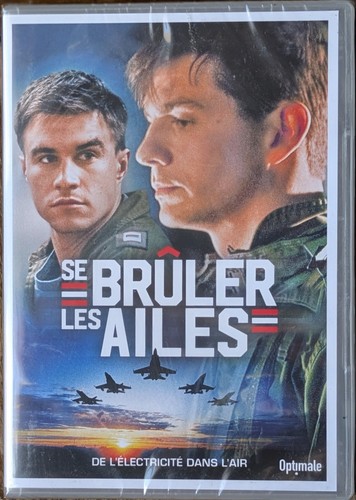 Brûler les ailes - brûler, 2013