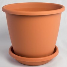 Pot Nevada avec Correspondant