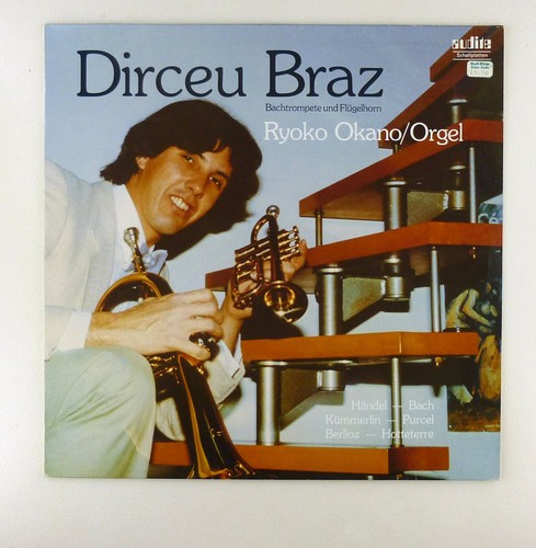 Vinyle dirceu braz - dirceu,