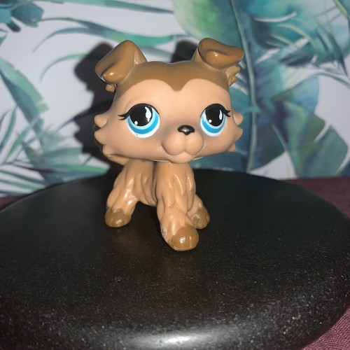 Petshop lps colley 893 - petshop,