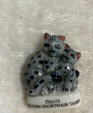 FEVE  chat  british shorthair tabby (845)