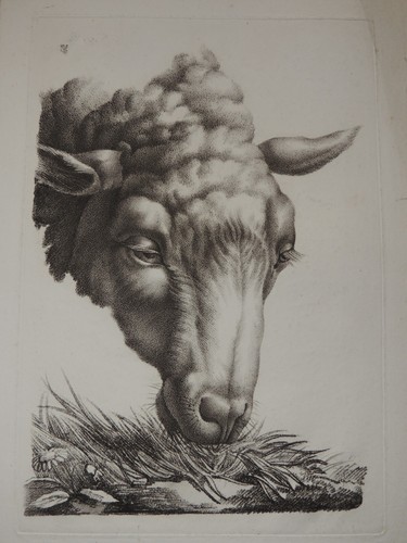 Gravure 19ème siècle - gravure,
