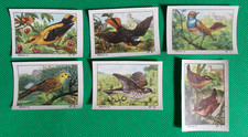 Lot 6 images album Nestlé