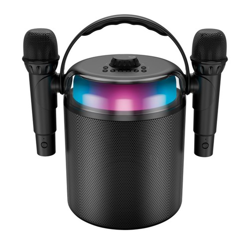 Ledwood enceinte karaoké - ledwood,
