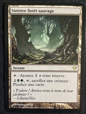 CARTE MAGIC RARE TERRAIN
