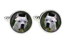 Dogue argentin épingle de