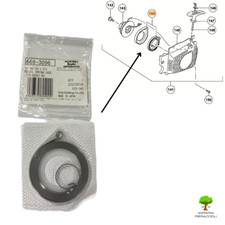 Ressort Démarreur Pour Scie