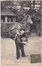 Carte postale ancienne – Robinson “Chacun son tour” – Ane porté par un homme – P