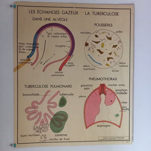 Affiche pédagogique scolaire - affiche,