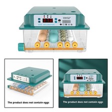 Petit incubateur d'oeufs