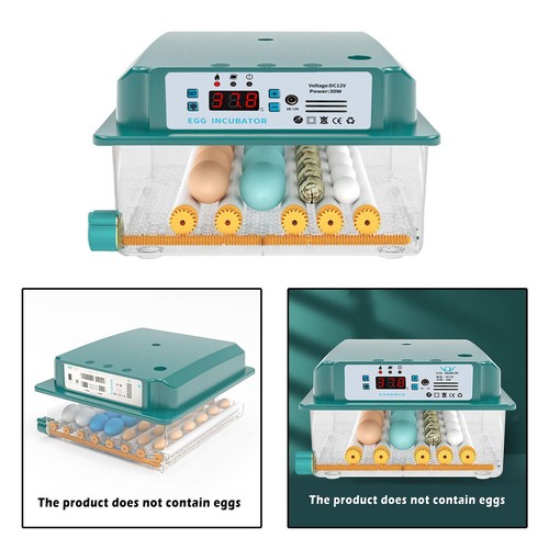 Petit incubateur oeufs - incubateur, d'oeufs