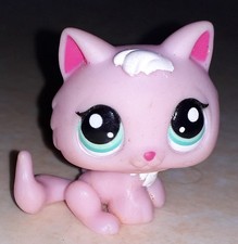Petshop chat chaton 2575