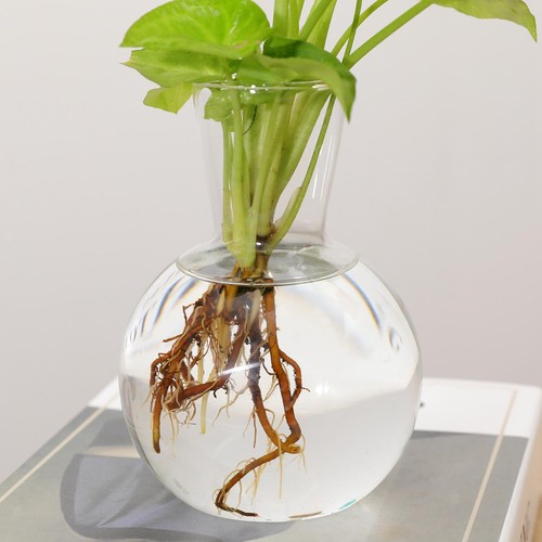 Bureau verre pot - en, fleur