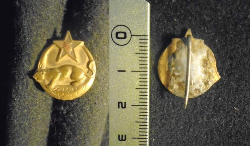 Insigne militaire 3 - insigne, –
