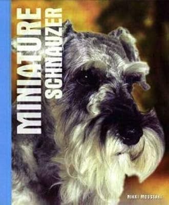 Miniature schnauzer nikki - schnauzer,,