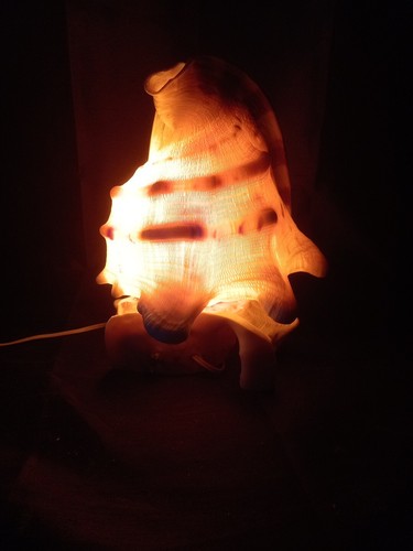 Ancienne lampe coquillage - ancienne,