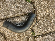 tuyau eau moteur daelim S3 touring 125 ccm 2011