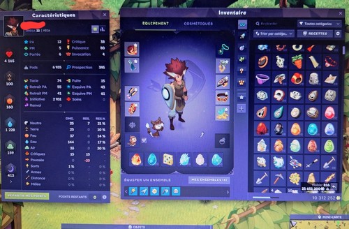 Compte dofus feca 200 - dofus,
