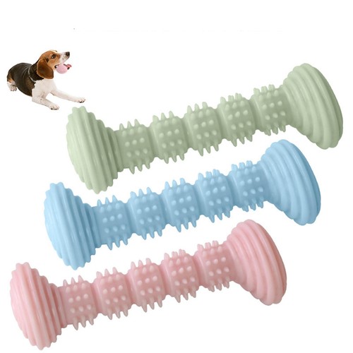 Jouet mâcher pour chien - mâcher,