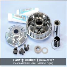 241608 Variateur POLINI